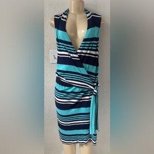 Ann Taylor Blue and White Striped Midi Dress classy night out evening casual